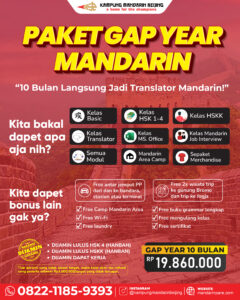 Gap year mandarin