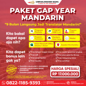 Gap Year Mandarin