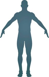 Part Of Body