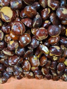 Bahasa Mandarin Jengkol